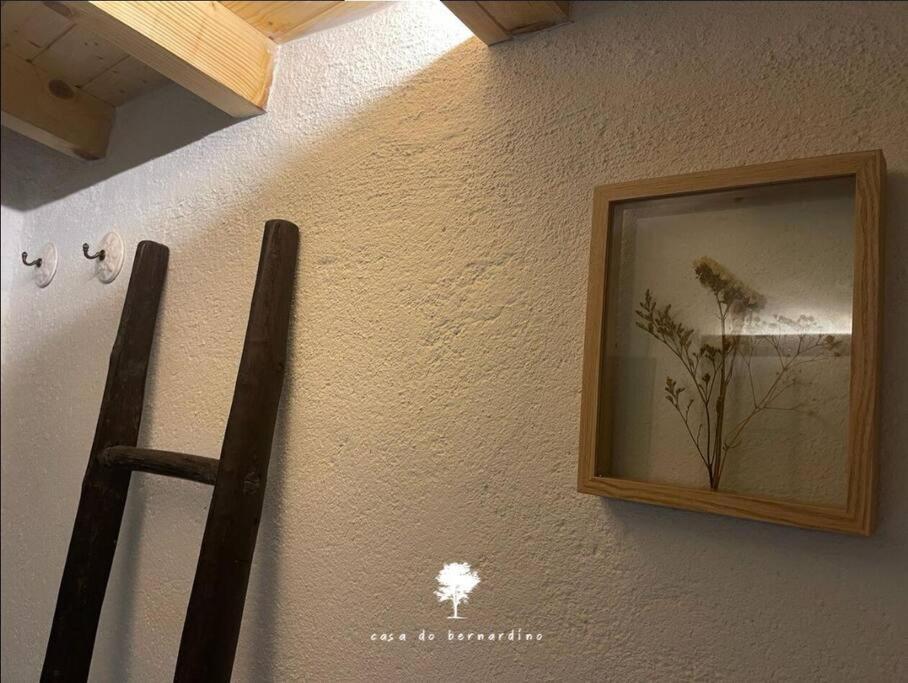 Villa Casa Do Bernardino à Cabril  Extérieur photo